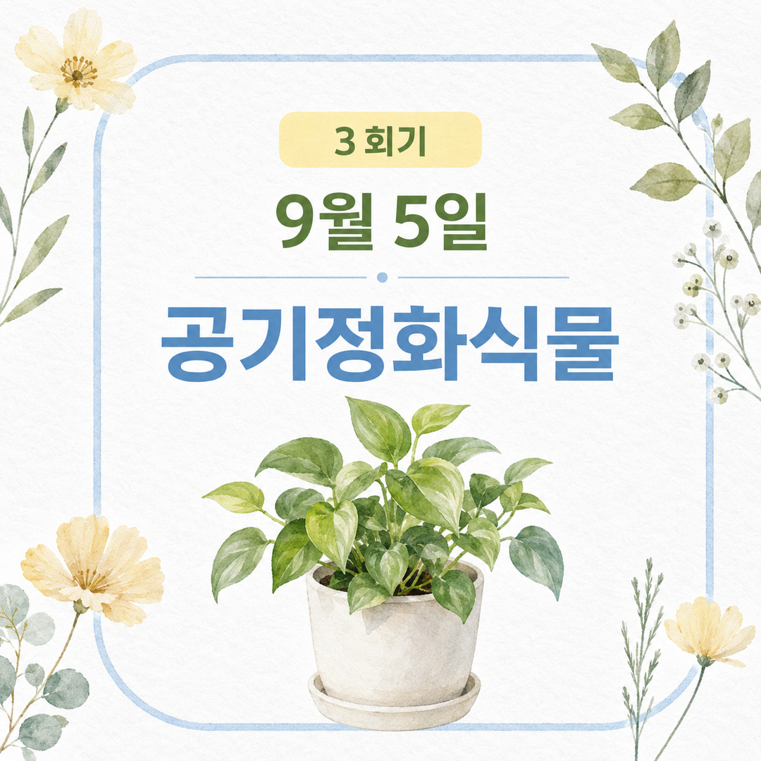 03%25C8%25B8%25B1%25E2_0905_%25B0%25F8%25B1%25E2%25C1%25A4%25C8%25AD%25BD%25C4%25B9%25B0.png